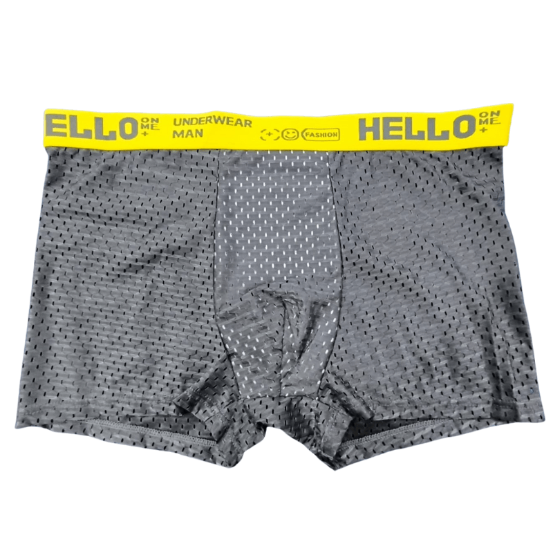 Men's Ice Silk Mesh Underwear 1