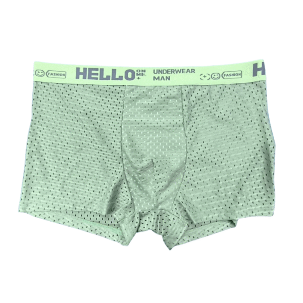 Men's Ice Silk Mesh Underwear